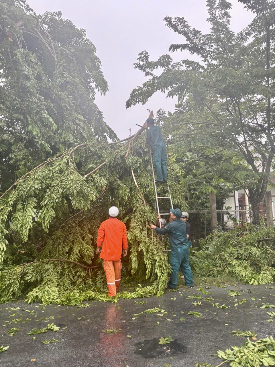 Công an xã Trung Hiệp khuyến cáo một số biện pháp phòng 
ngừa nguy hiểm từ cây cối đổ ngã trong mùa mưa bão
