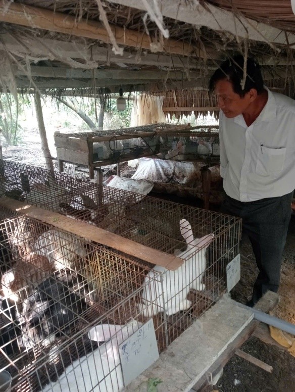 Mô hình chăn nuôi thỏ mang lại hiệu quả kinh tế cao của nông dân ấp Trung Hưng